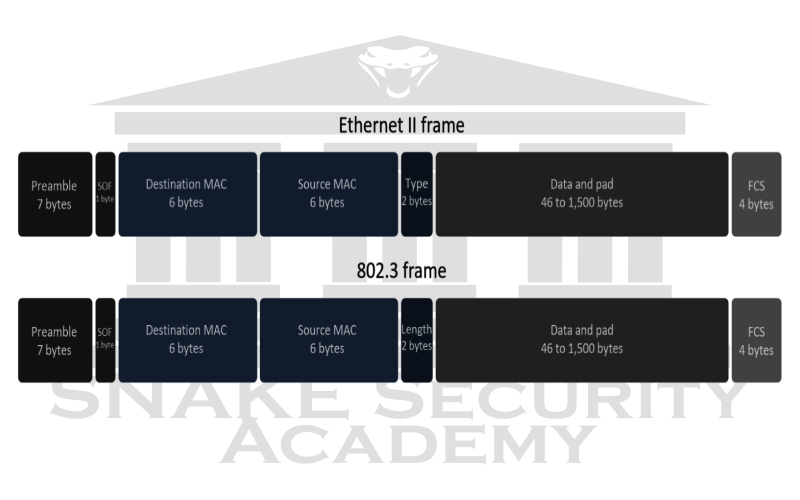 Ethernet Frames