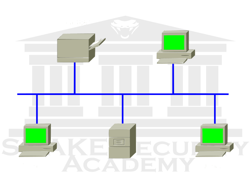 Computer Networks BUS Topology