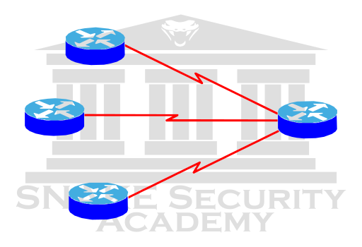 Computer Networks Point-to-MultiPoint Topology