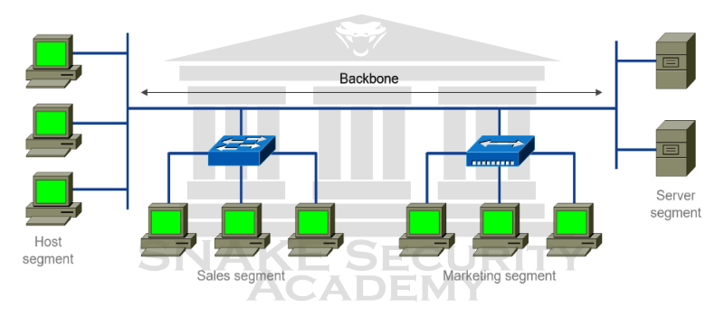 Network Structure Backbone