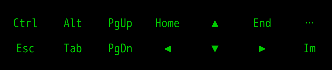 ANDRAX-NG Dragon Terminal special keys