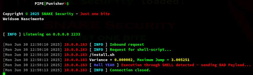 PipePunisher Sending Bad Payload